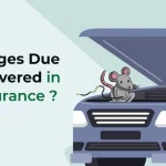 this is the image of Rats & Insurance: A Costly Lesson Every Car Owner Should Know