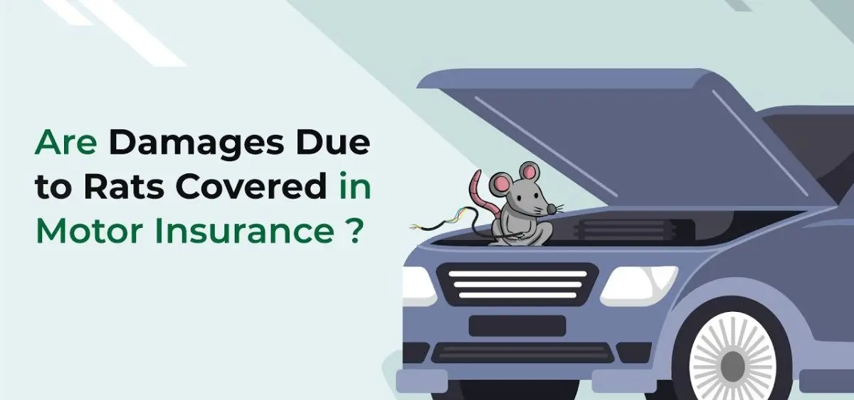 this is the image of Rats & Insurance: A Costly Lesson Every Car Owner Should Know