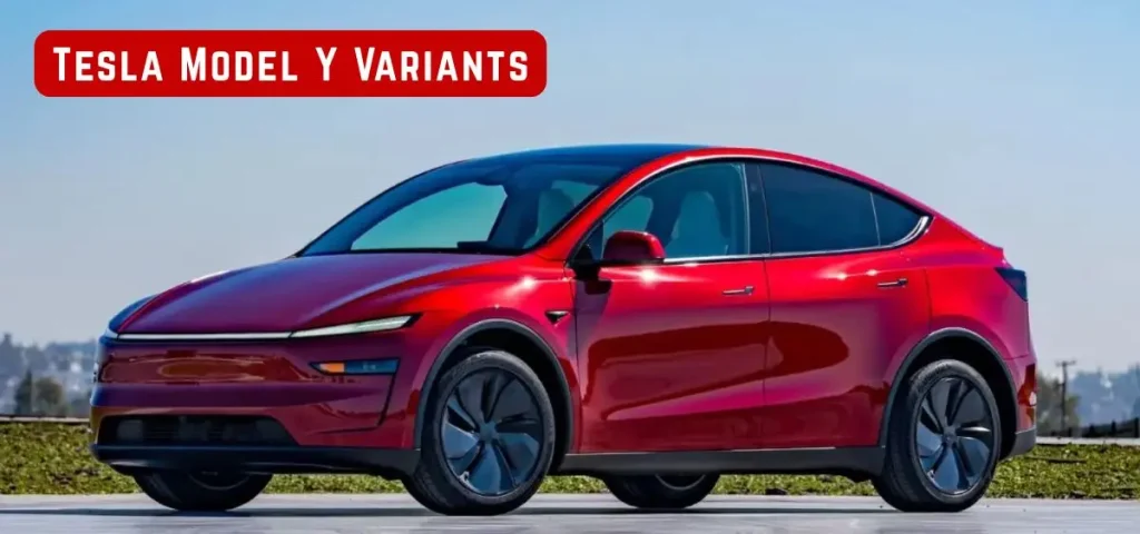this is the image of Tesla Model Y Variants Explained