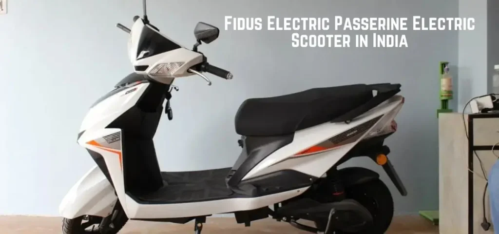 this is the image of Fidus Electric Passerine Electric Scooter in India